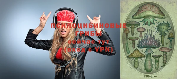 винт Баксан