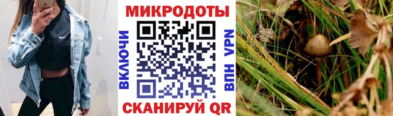 где можно купить Купино Галлюциногенные грибы мухоморы
